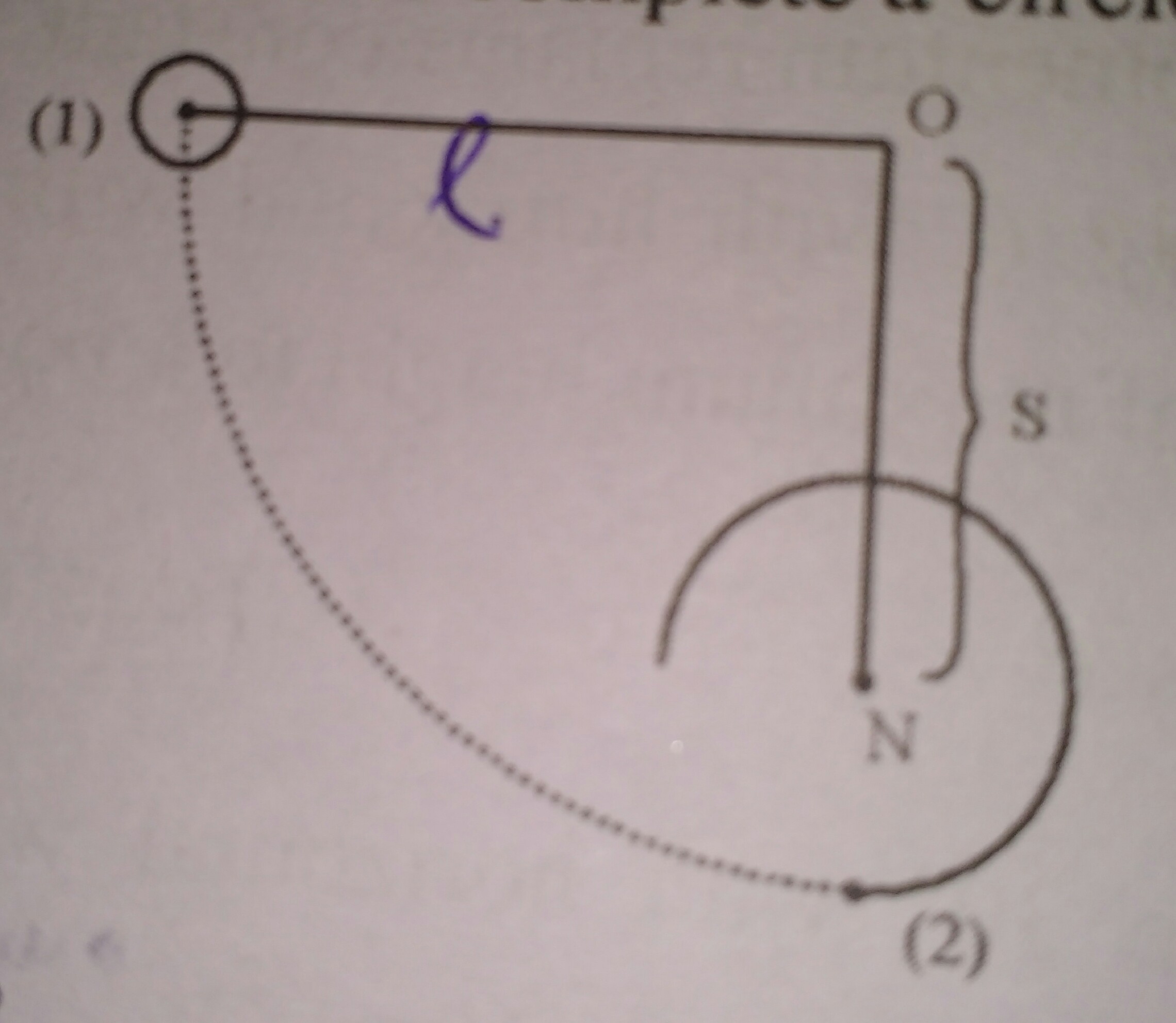 Question image for if small bob of mass m is connected with massless